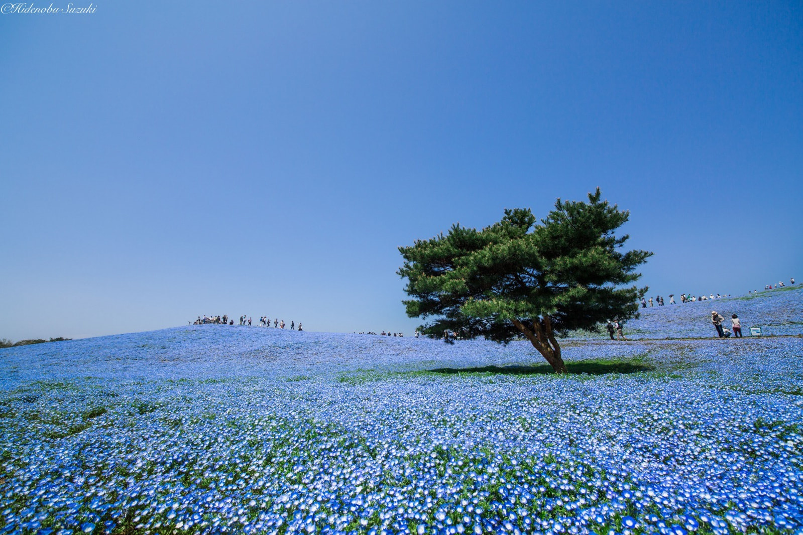 ひたちなか海浜公園