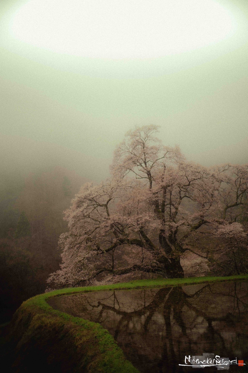 雨模様