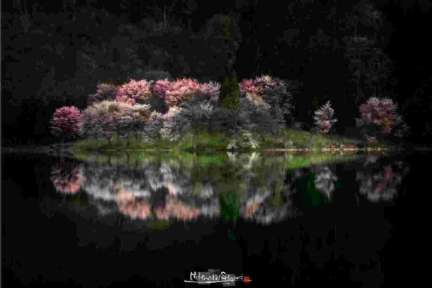 中綱湖