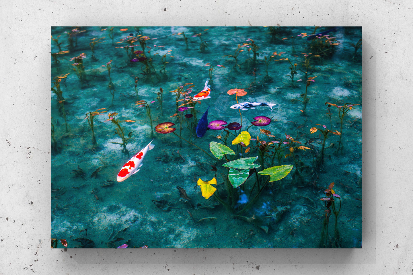 Monet's pond