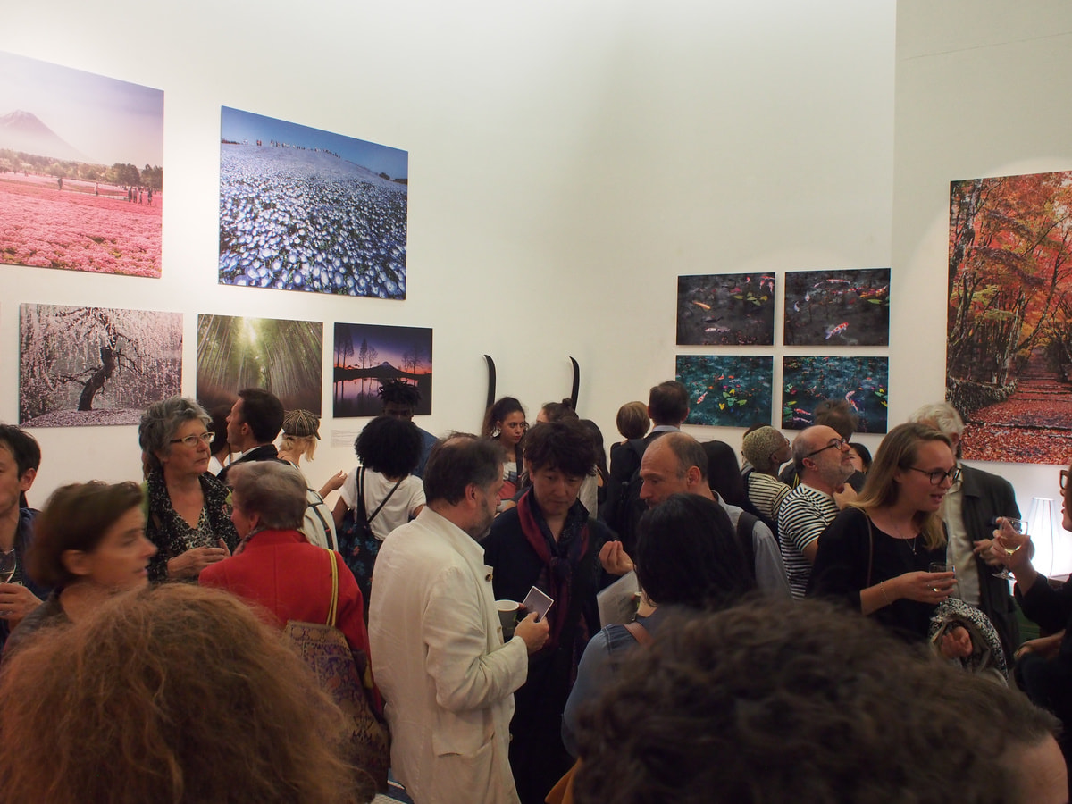 pa110038.jpg