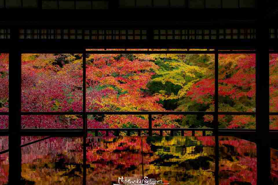 瑠璃光院