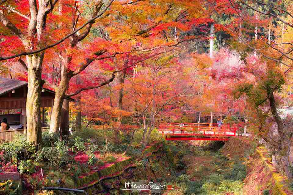 大原三千院