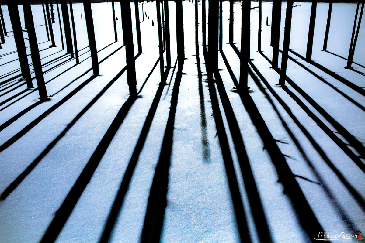 Light and shadow