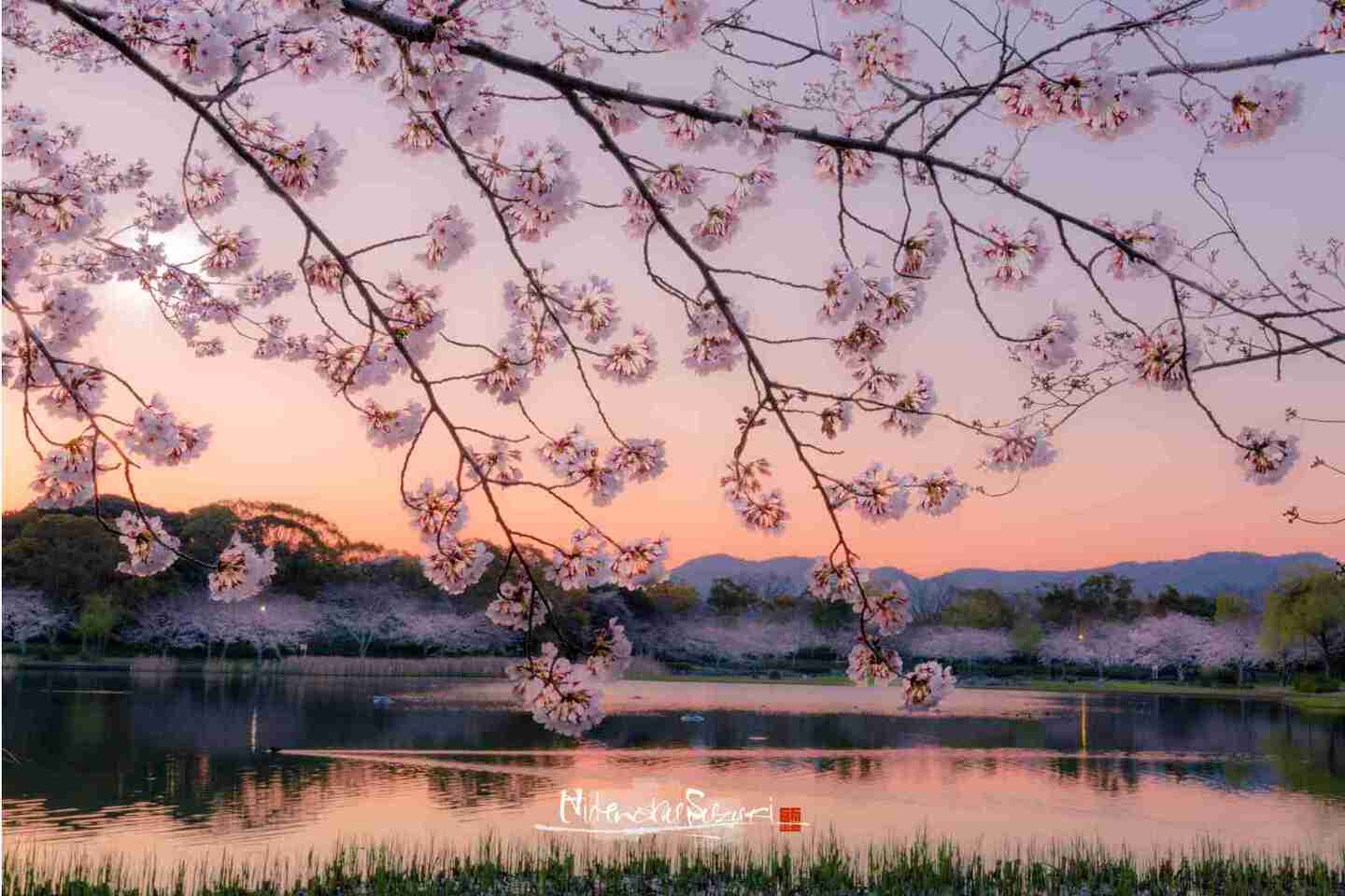豊橋市