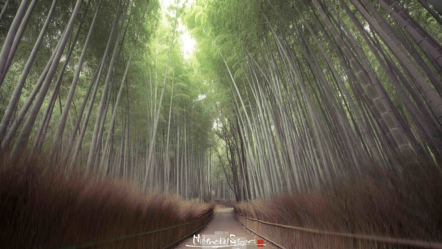 嵐山